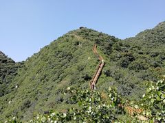 -大岭沟猕猴桃谷风景区