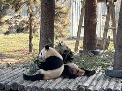 -西安秦岭野生动物园
