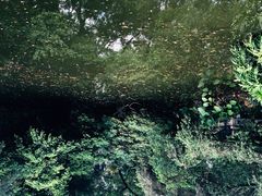 -人民公园(罗湖区)