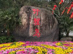 -野狸岛
