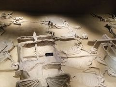 -洛阳周王城天子驾六博物馆