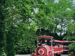 -日照灯塔风景区