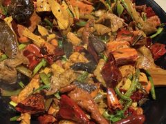 -食乐佳麻辣香锅(森林摩尔商业街区店)