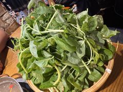 泉水肉丸子嫩豆苗-吃饭皇帝大(合生汇店)