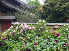 -龙华寺