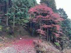 -比叡山