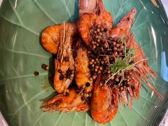 -桂满陇·海市蜃楼·黑金(国金店)