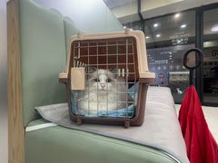 -艾贝尔宠物诊疗