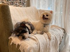 -零几体验diy皮具工作室(振业城店)