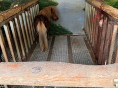 -云栖山谷露营地·团建年会·生日派对