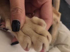 -豆老板的猫咖啡(碑林博物馆店)