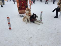 -雾凇岛