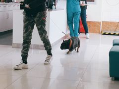 -美联众合动物医院·24h京西诊疗中心