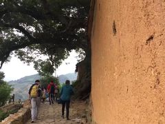 -杨家堂村