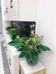 -缤卡妮肌肤管理中心