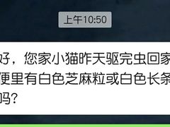 -菲丽丝宠物医院·24小时·猫科中心·免疫点(淮海分院)