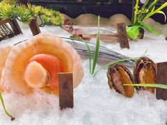 -碧中海汤泉汗蒸酒店