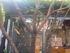 -VOYAGE COFFEE(杨梅竹店)