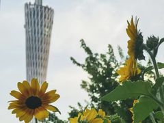 -海心沙亚运公园