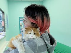 -北京观赏动物医院·24小时大型综合·猫专科·异宠专科