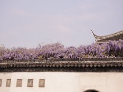-拙政园