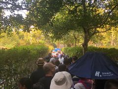 -韶山毛泽东同志故居