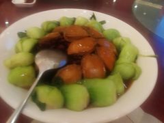 -龙悦湾酒家·八阵鱼生·渔人码头店