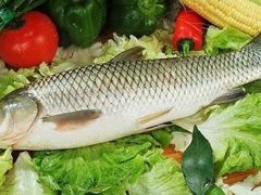 皖鱼-竹庄餐馆·26年店(南昆山景区店)