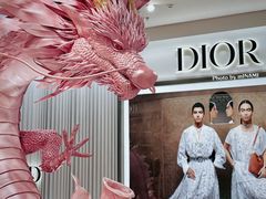 -Dior迪奥(海信广场店)