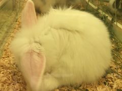 -龙猫仔乐园(惠福东路店)