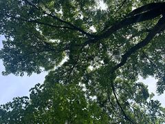 -东方绿舟景区