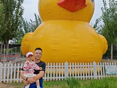 -天津东丽湖风景区