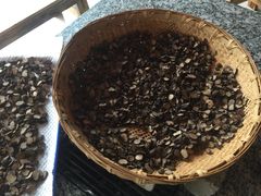 -蘑统田下·野生菌火锅