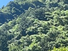 -陕西省红河谷森林公园