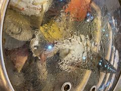 -四海蒸鲜蒸汽海鲜自助(北戴河店)