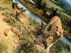 -陕西自然博物馆