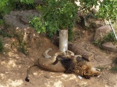 -西霞口神雕山野生动物世界