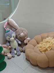 -薇薇安花系SPA