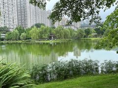 -沐仙湖湿地公园
