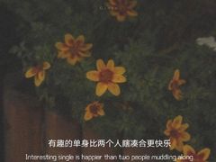 -Helens海伦司小酒馆(深圳东门店)