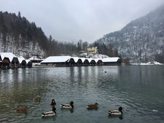 -柯尼希湖