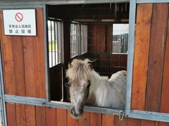 -上海崇明金茂凯悦酒店