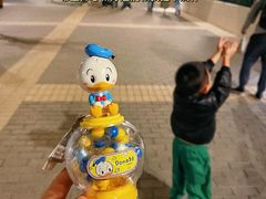 -迪士尼乐园停车场