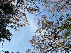 -朝阳公园