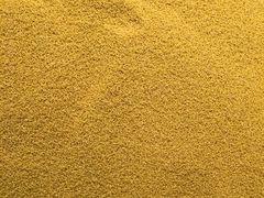 黄小米-桐庐江南农贸市场