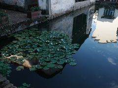 -东梓关景区村庄