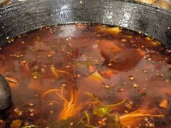 -鸿顺老铁锅美蛙鱼府(解放碑店)