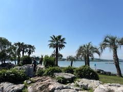 -渤公岛生态公园