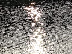 -中国湿地博物馆