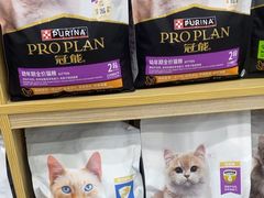 -芭比堂动物医院·24小时·眼科中心(深圳中心)